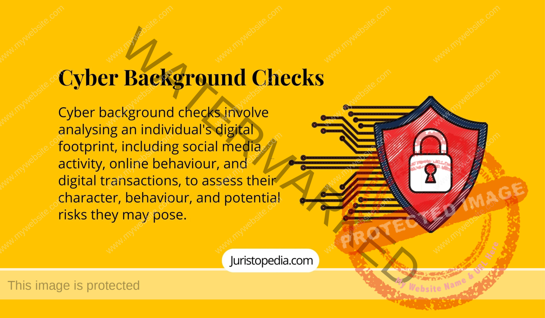 Cyber Background Checks - private investigation - online behaviour - digital footprint